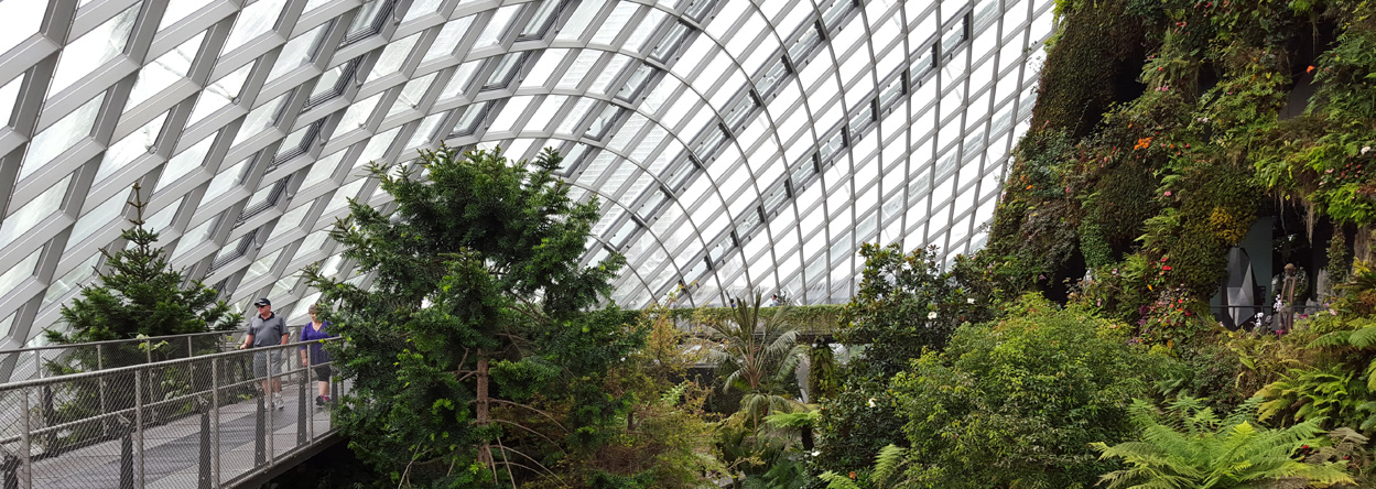 Cloud Forest in den Gardens by the Bay
