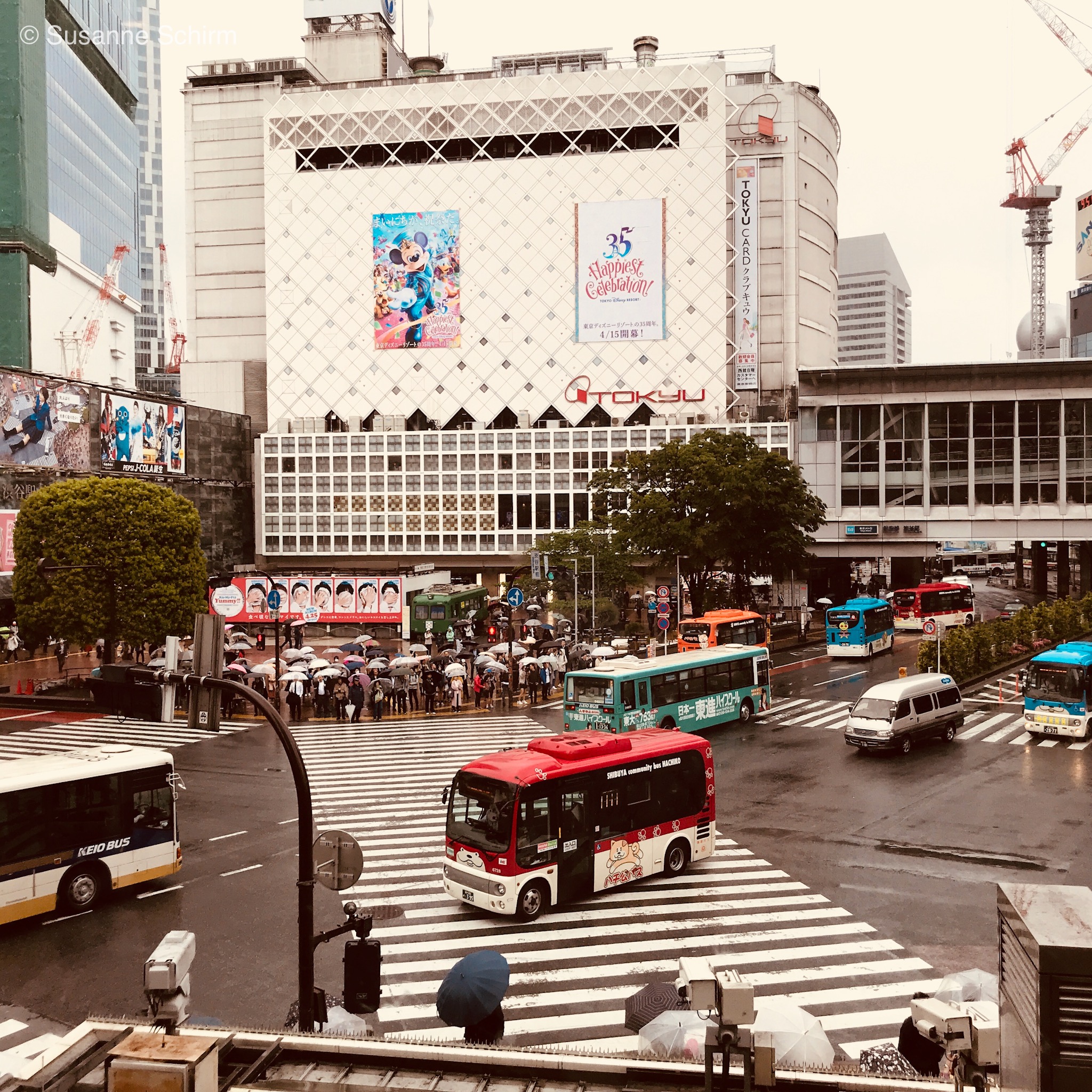 Shibuya Kreuzung in Tokio